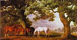 Mares and Foals in a Wooded Landscape by George Stubbs